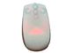 NEMA4X Medium Wired Computer Mouse , Red Optical LED / WEEE Cert Light Up Mouse